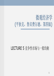 LECTURE5竞争性市场与一般均衡(平狄克,微观经济学-厦