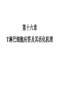 T-细胞活化08