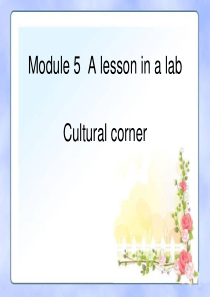 外研必修一Module5  cultural corner