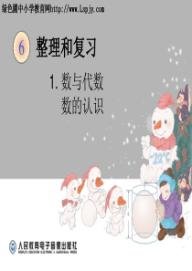 新人教版六年级下册数学整理和复习中的数与代数数的认识