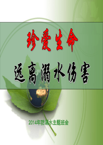 防溺水主题班会