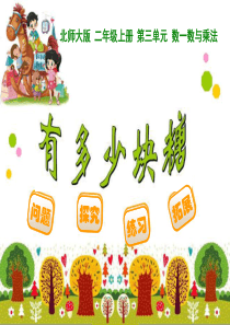 2013北师大版二年级上册数学有多少块糖