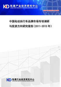 中国电动自行车品牌市场专项调研与投资方向  - 凯德产业经济研究中心