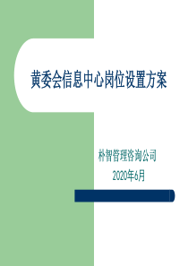 黄委会信息中心岗位设置方案