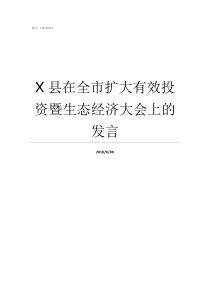 X县在全市扩大有效投资暨生态经济大会上的发言