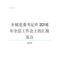 乡镇党委书记在2016年全县工作会上的汇报发言