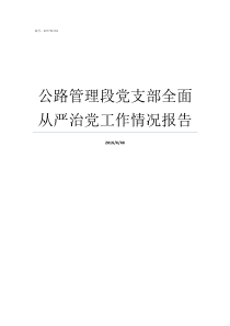 公路管理段党支部全面从严治党工作情况报告