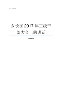 乡长在2017年三级干部大会上的讲话2017年三级理论