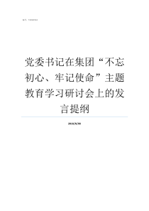 党委书记在集团不忘初心牢记使命主题教育学习研讨会上的发言提纲党委书记讲不忘初心