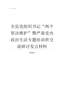 全县党组织书记两个坚决维护暨严肃党内政治生活专题培训班交流研讨发言材料党组织