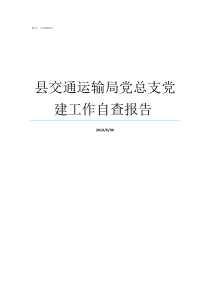 县交通运输局党总支党建工作自查报告nbsp党委