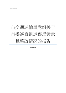 市交通运输局党组关于市委巡察组巡察反馈意见整改情况的报告交通运输部党组书记大还是部长大