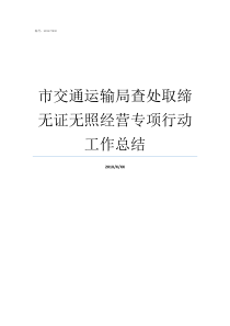 市交通运输局查处取缔无证无照经营专项行动工作总结无证无照经营管理办法