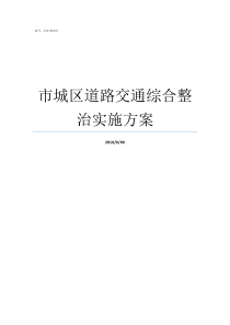 市城区道路交通综合整治实施方案道路交通情况