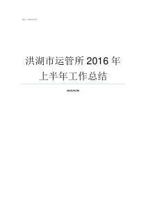 洪湖市运管所2016年上半年工作总结洪湖市沙口镇