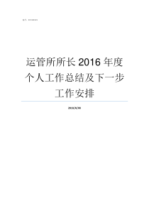 运管所所长2016年度个人工作总结及下一步工作安排运管所马所长