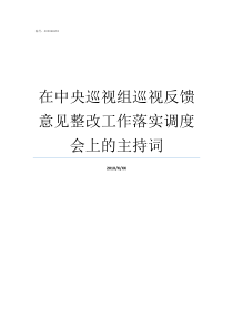 在中央巡视组巡视反馈意见整改工作落实调度会上的主持词十九届中央第二轮巡视反馈