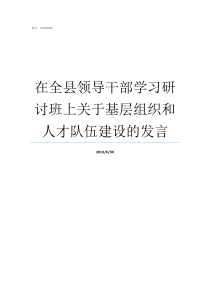 在全县领导干部学习研讨班上关于基层组织和人才队伍建设的发言