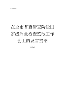 在全市普查清查阶段国家级质量检查整改工作会上的发言提纲第四次普查清查范围