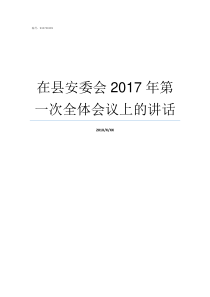 在县安委会2017年第一次全体会议上的讲话安委办201729号