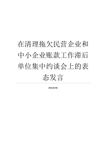 在清理拖欠民营企业和中小企业账款工作滞后单位集中约谈会上的表态发言支持清理拖欠民营企业