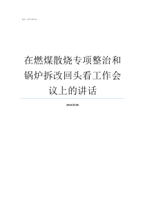 在燃煤散烧专项整治和锅炉拆改回头看工作会议上的讲话