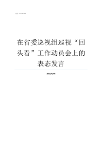 在省委巡视组巡视回头看工作动员会上的表态发言省委巡视组胡勇