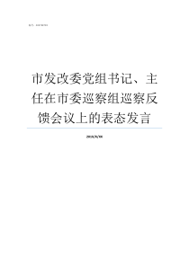 市发改委党组书记主任在市委巡察组巡察反馈会议上的表态发言党组书记和党委书记