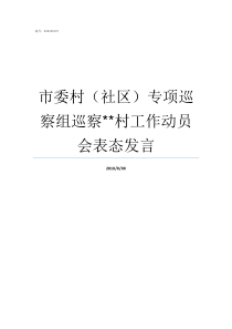 市委村社区专项巡察组巡察村工作动员会表态发言三明市委专项巡察