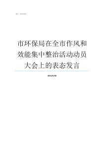 市环保局在全市作风和效能集中整治活动动员大会上的表态发言