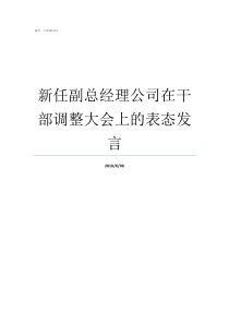 新任副总经理公司在干部调整大会上的表态发言公司副总经理由谁任命