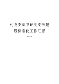 村党支部书记党支部建设标准化工作汇报支部建在连上