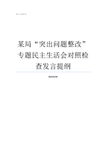 某局突出问题整改专题民主生活会对照检查发言提纲作风突出问题整改台账