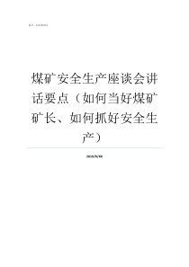 煤矿安全生产座谈会讲话要点如何当好煤矿矿长如何抓好安全生产