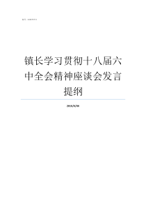 镇长学习贯彻十八届六中全会精神座谈会发言提纲