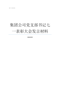 集团公司党支部书记七一表彰大会发言材料