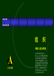 Mckinsey-组织咨询手册(@有一些价值)