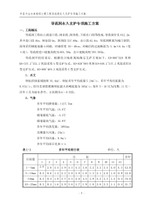 导流洞永久支护施工方案