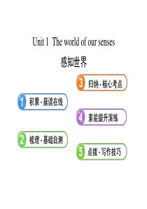 牛津译林版高中英语必修三Unit-1《The-world-of-our-senses》ppt复习课件