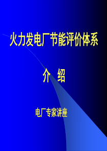 火力发电厂节能评价体系介绍【电力专家】-火力发电厂节能评