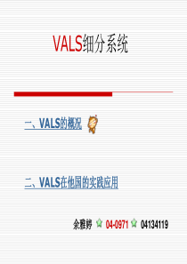 VALS(价值观和生活方式结构)细分系统