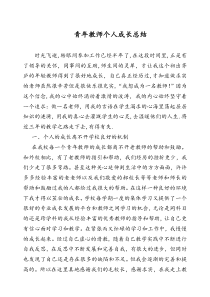 青年教师个人成长总结