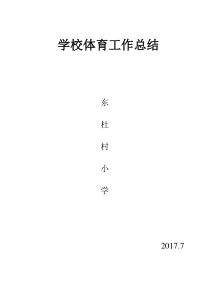 小学学校校体育工作总结