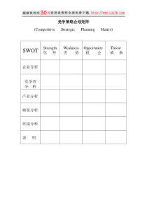 【精品文档】竞争策略企划矩阵