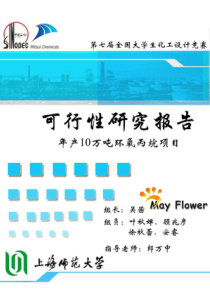 年产10万吨环氧丙烷可行性研究报告-Mayflower