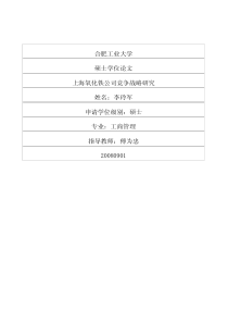 上海氧化铁公司竞争战略研究