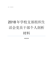 2018年学校支部组织生活会党员干部个人剖析材料