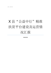 X县公益中行精准扶贫平台建设及运营情况汇报公益中行潘超