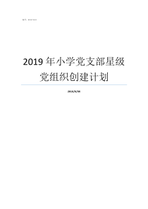 2019年小学党支部星级党组织创建计划2019年小学国庆