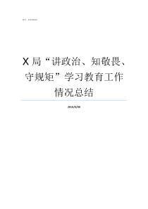 X局讲政治知敬畏守规矩学习教育工作情况总结